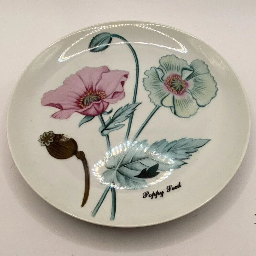 Vtg Shafford botanical 5 porcelain‎ salad plates herbs seeds poppy ginger Japan